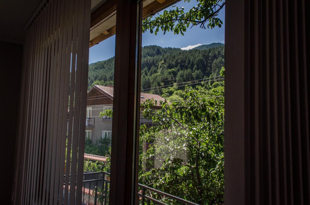 Dariya Guest House Sapareva Banya Room photo